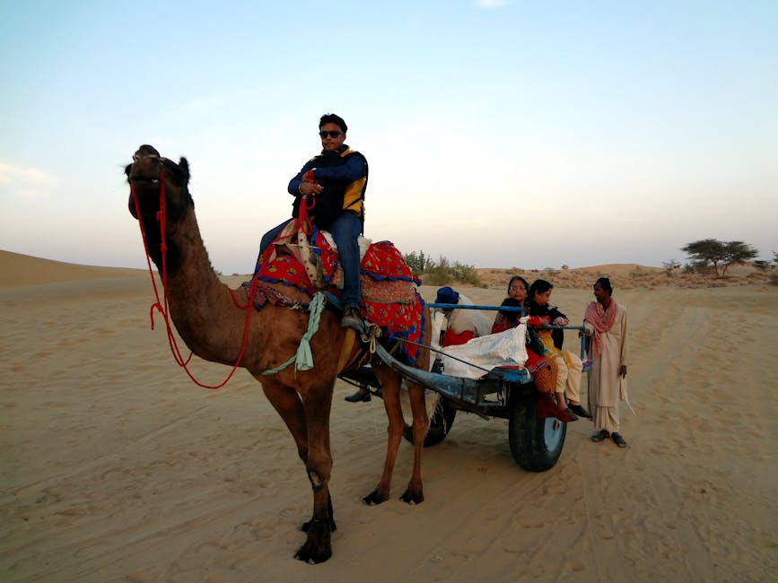How VIP Travel Planners Curate Personalized Yacht-to-Desert Adventures