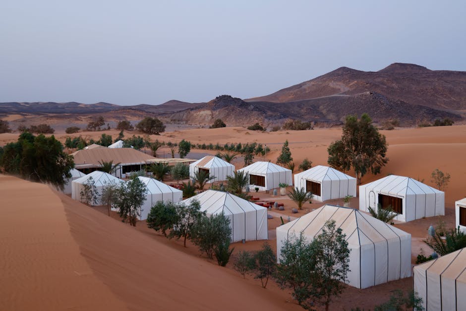 How Ultra-Luxury Travel Agencies Tailor Exclusive Wilderness Adventures
