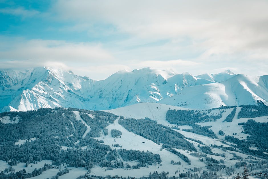 How Elite Travel Designers Create Custom Polar Bear Safaris for High-End Families