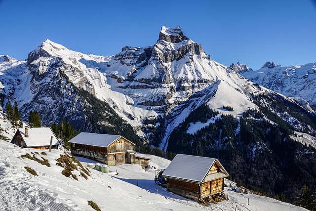 Aspen Villas for Families Ski Travelers