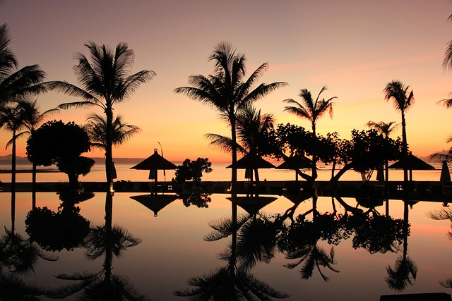 Best Bali Resorts for Honeymoon Couples With Jungle View