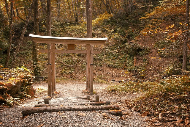 Best Time to Visit Japan Based on Season
