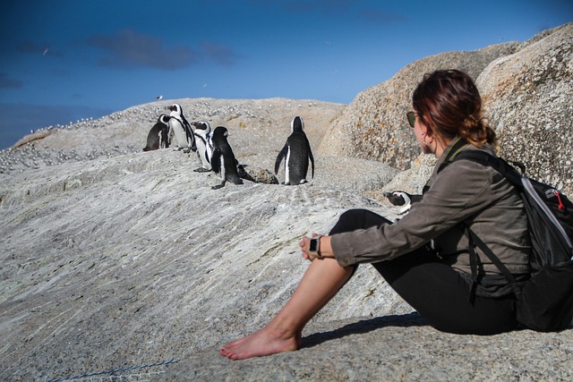 Cape Town Hotels for Adventure Solo Travelers
