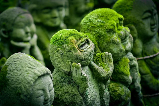 Kyoto Travel Plan for Cultural Travelers and Temple Visits