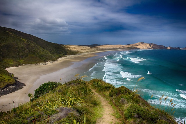 New Zealand Villas Under $200 Scenic