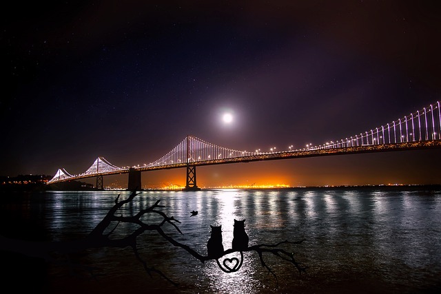Quiet Hotels in San Francisco in Safe Neighborhoods