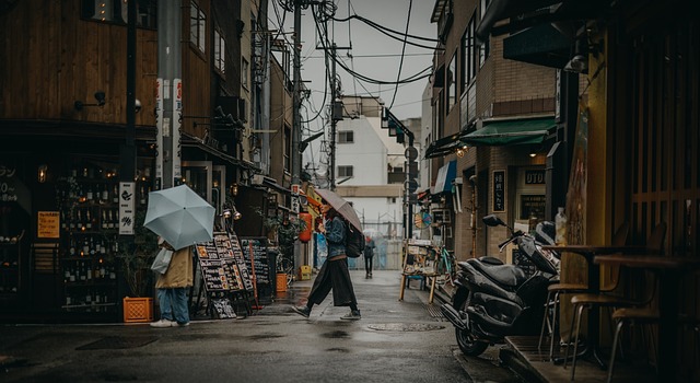 Tokyo Travel Itinerary for First Time Visitors With Budget Tips