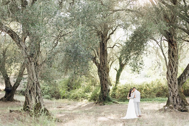 Tuscany Villas for Honeymoon Couples With Vineyard View