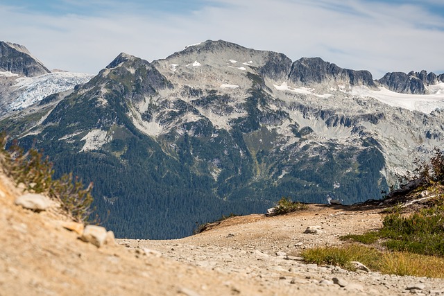 Vancouver Hotels Near Nature Parks With Scenic Surroundings
