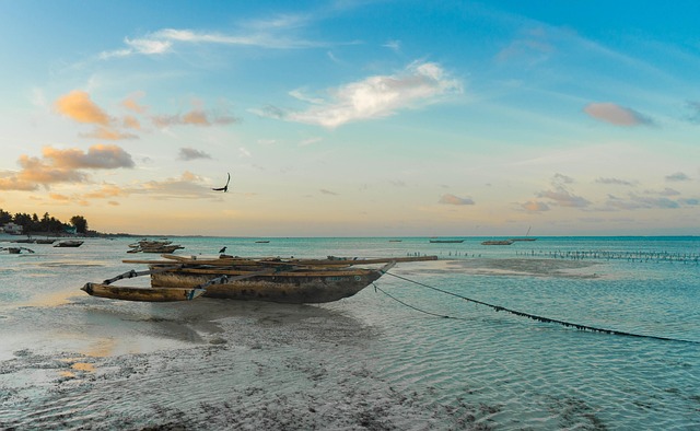 Zanzibar Villas for Beach Lovers